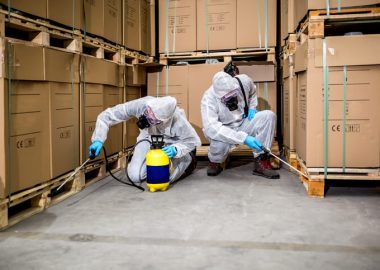 Commercial Pest Control Service