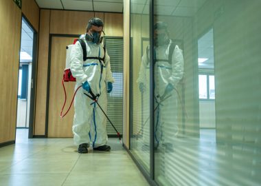 Office Pest Control Service